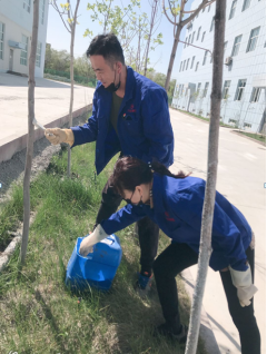 天山制藥的最美植綠人